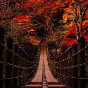 Meet your Posher, Chi hsing